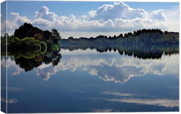   Lake Reflections Canvas Print by Darren Burroughs