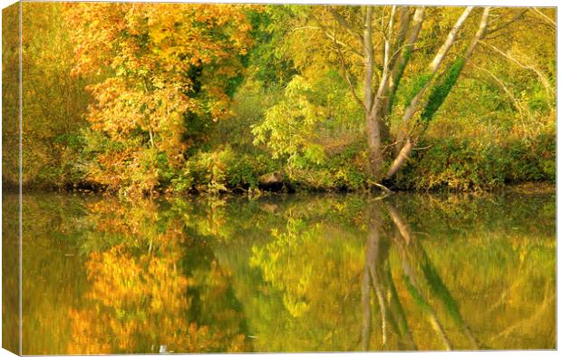 Autumn Reflections Canvas Print by Darren Burroughs