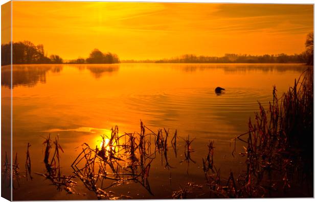 Golden Lake Sunrise Canvas Print by Darren Burroughs