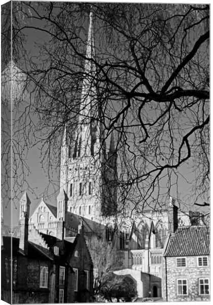 Norwich Cathedral Through Winter Trees Canvas Print by Darren Burroughs