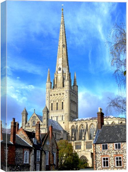 Norwich cathedral Canvas Print by Darren Burroughs
