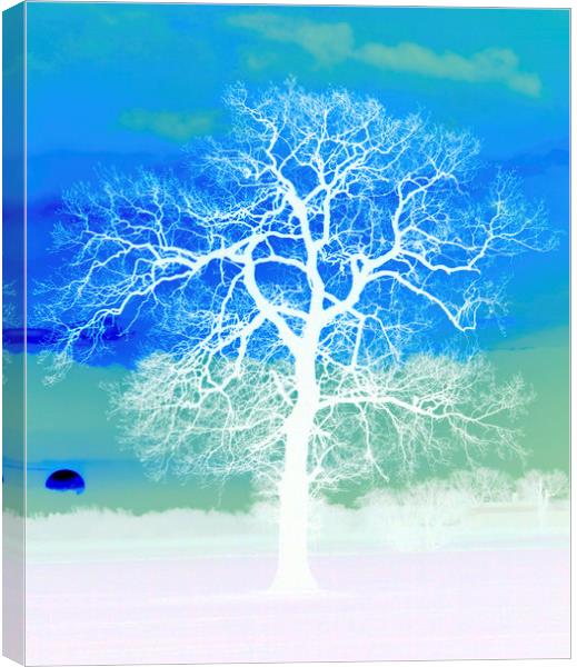 Silhouetted Sunrise Tree  Canvas Print by Darren Burroughs