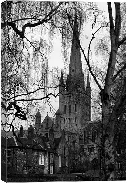 Norwich Cathedral Winter Scene Canvas Print by Darren Burroughs