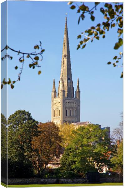 Norwich Cathedral Canvas Print by Darren Burroughs