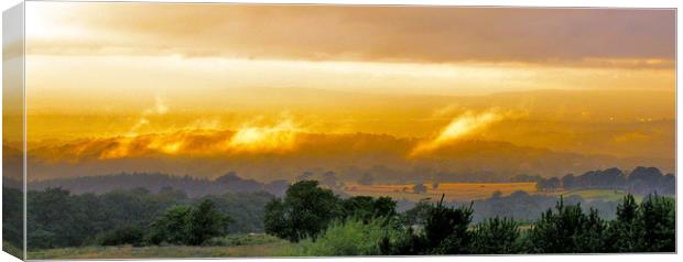 Wild Fires Over Manchester   Canvas Print by Darren Burroughs