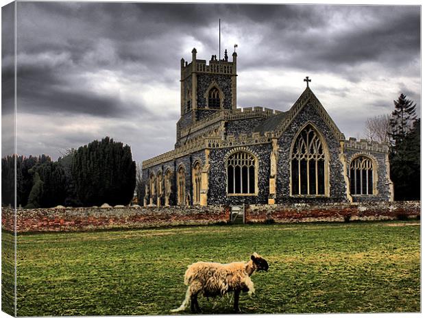 Banished From The Flock Canvas Print by Darren Burroughs