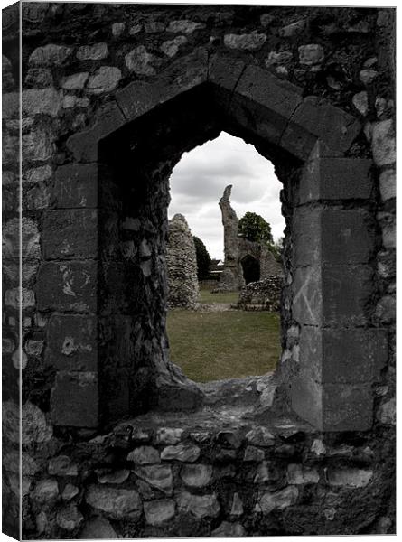 Thetford Priory View Canvas Print by Darren Burroughs