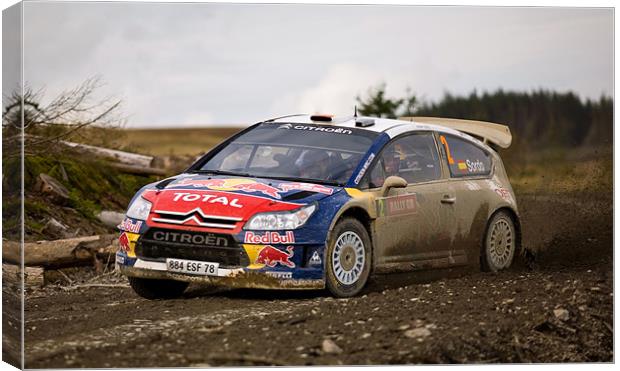 Dani Sordo Canvas Print by David Maclennan