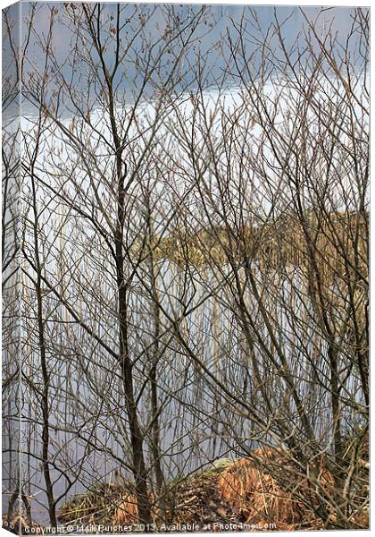 Beautiful Lake District View Through Bare Branches Canvas Print by Mark Purches
