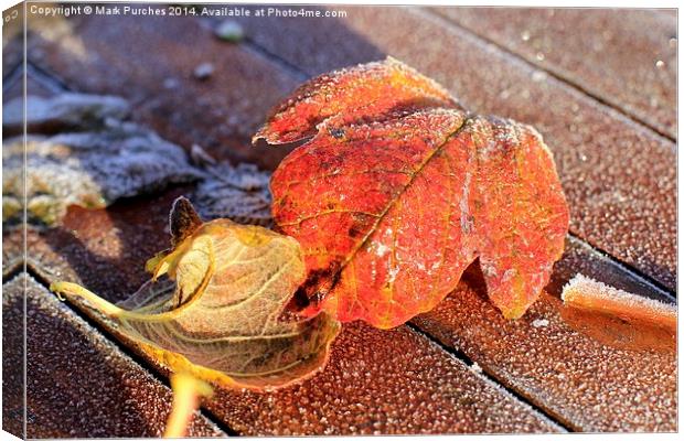 Two Frosty Leaves on Red Wooden Table Canvas Print by Mark Purches