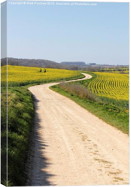Winding Road Track Through Yellow Rape Seed Fields Canvas Print by Mark Purches