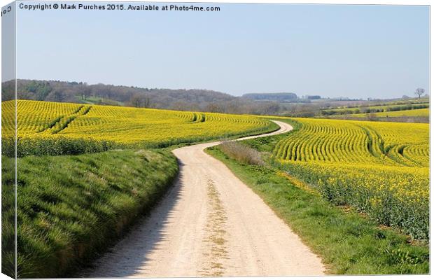 Meandering Track Through Yellow Rape Seed Crops Canvas Print by Mark Purches