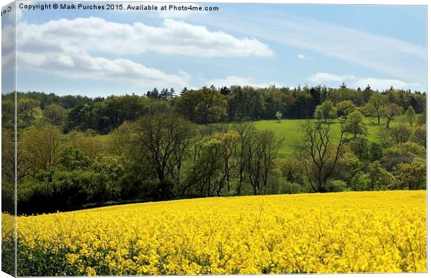 Cotswolds Rapeseed Field and woodland Canvas Print by Mark Purches