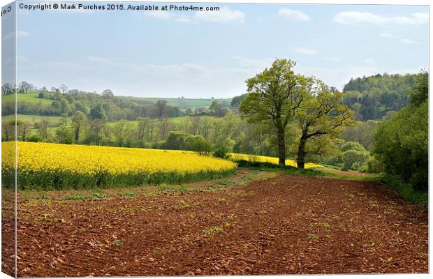 Cotswolds Landscape and Large Country House Canvas Print by Mark Purches