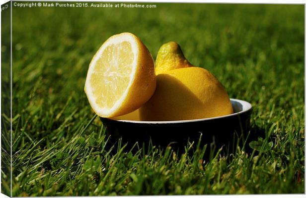 Refreshing Sliced Lemon Outdoors on Grass Canvas Print by Mark Purches