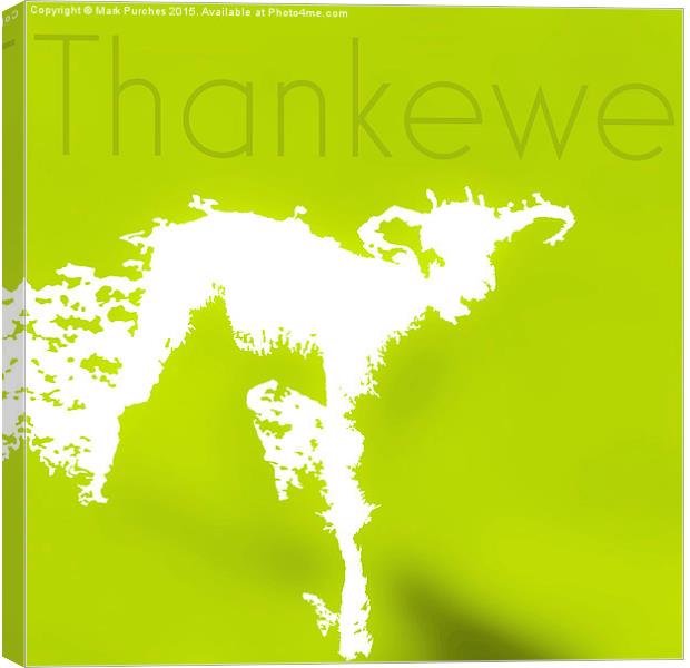 Thank You Greeting Spring Lamb Canvas Print by Mark Purches