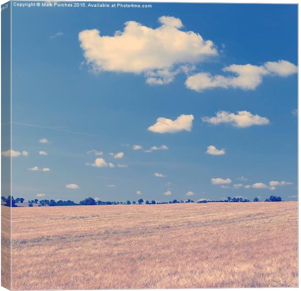 Large Barley Field & Blue Sky Instagram Square Canvas Print by Mark Purches