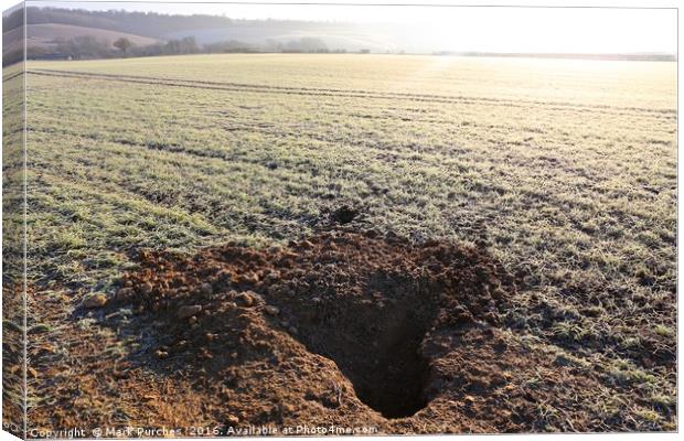Badger Den Burrow in Frosty Field Canvas Print by Mark Purches