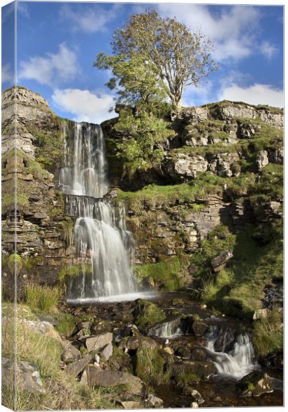 Cow Close Gill Waterfall - Cray Canvas Print by Steve Glover