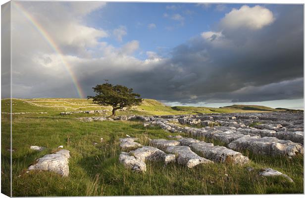 Hope In The Dales Canvas Print by Steve Glover