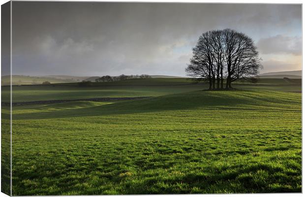 First Light Reassurance Canvas Print by Steve Glover