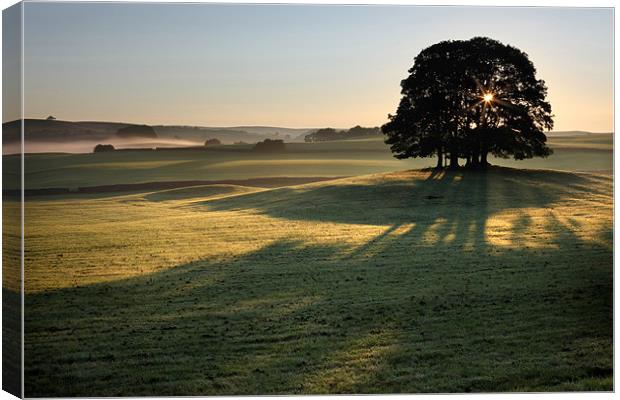 A New Day - Airton Canvas Print by Steve Glover