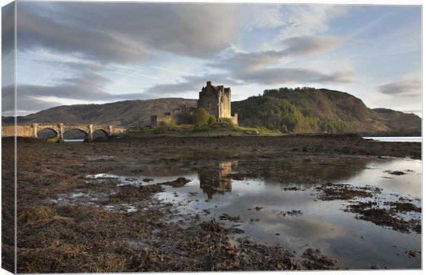 Island Of Donnán Canvas Print by Steve Glover