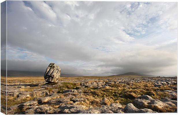 Yorkshire Life Canvas Print by Steve Glover