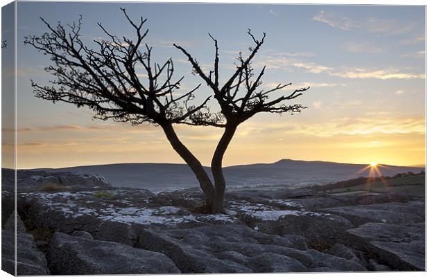 Ingleborough Sunrise From Hutton Roof Canvas Print by Steve Glover