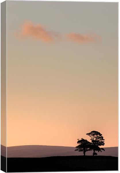Barden Moor From Embsay Crag Canvas Print by Steve Glover