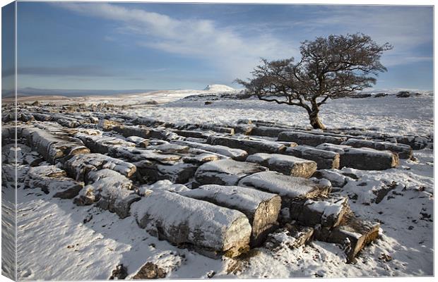 Winter In Ribblesdale Canvas Print by Steve Glover
