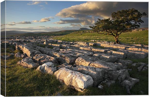 A Winskill Evening Canvas Print by Steve Glover