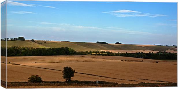Over the downs Canvas Print by Doug McRae
