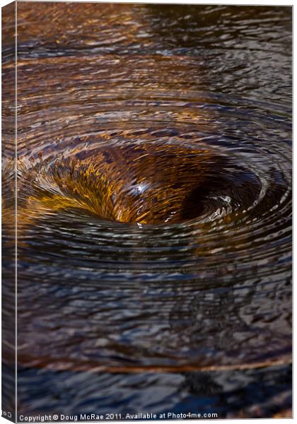 Water hole Canvas Print by Doug McRae