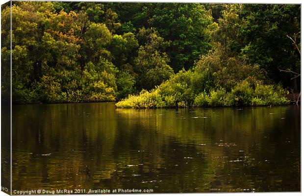 Lake Canvas Print by Doug McRae