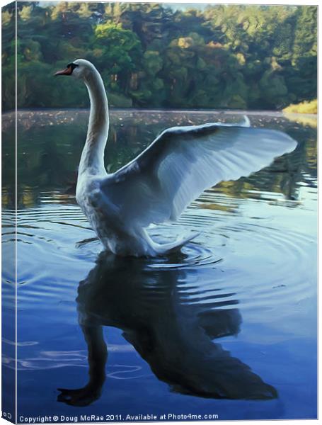 Painted swan Canvas Print by Doug McRae