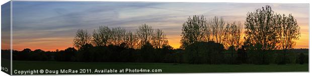 Sunset and trees Canvas Print by Doug McRae