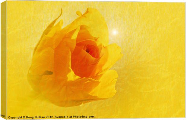 Yellow flame Canvas Print by Doug McRae
