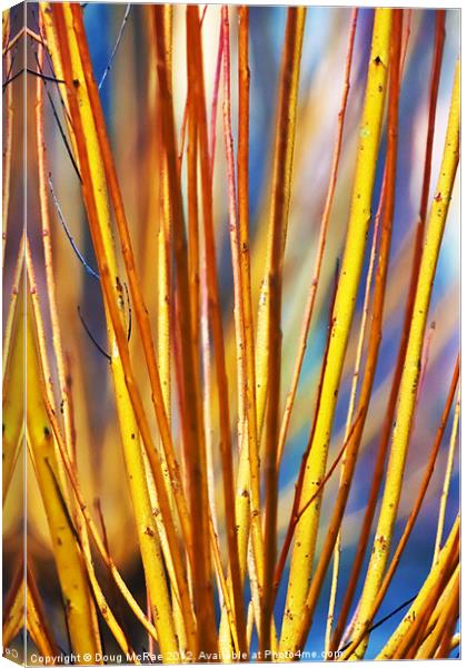 Coloured sticks Canvas Print by Doug McRae