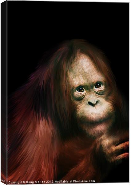Orangutan Canvas Print by Doug McRae
