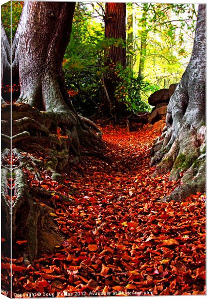 autumn path Canvas Print by Doug McRae