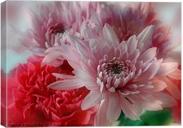 Carnation and Chrysanthemums Canvas Print by Doug McRae