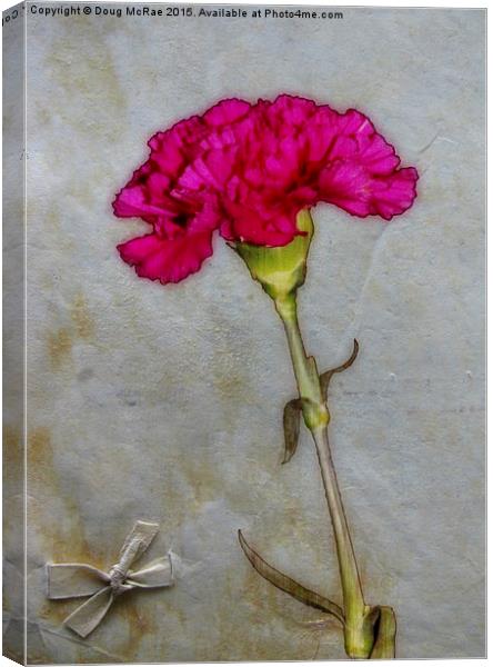  Carnation and bow Canvas Print by Doug McRae