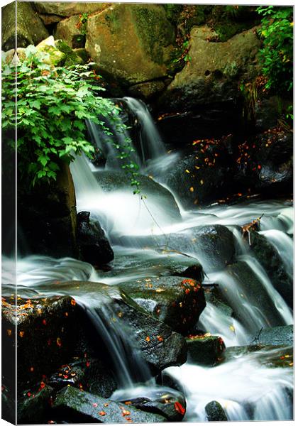Waterfall in autumn Canvas Print by Doug McRae