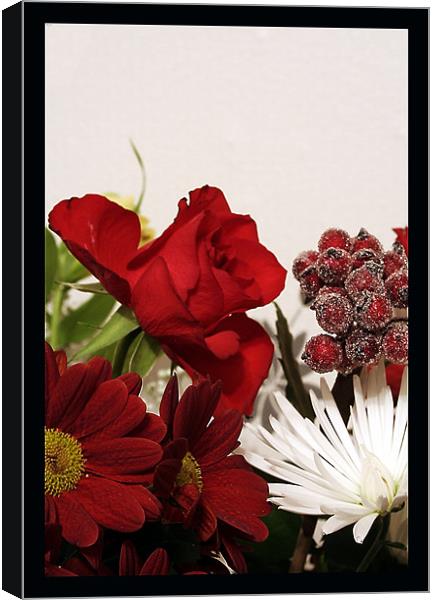 Xmas frowers Canvas Print by Doug McRae