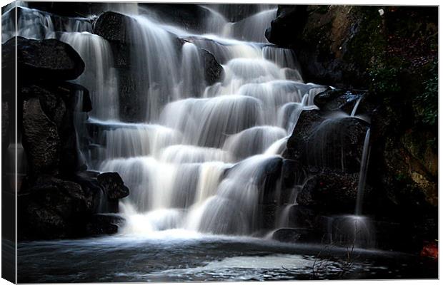 Silver water Canvas Print by Doug McRae