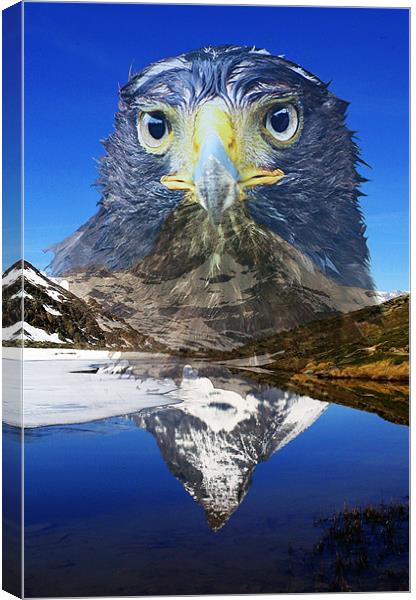 Eagle mountain Canvas Print by Doug McRae