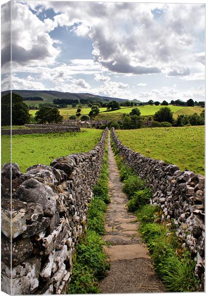 Path To God's Own County Canvas Print by Sandi-Cockayne ADPS