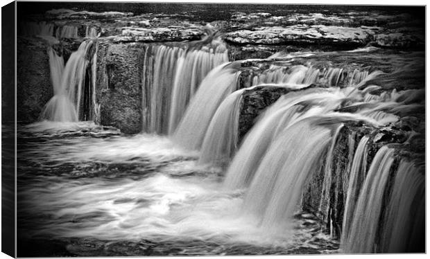 Upper Aysgarth Falls, The Dales Canvas Print by Sandi-Cockayne ADPS