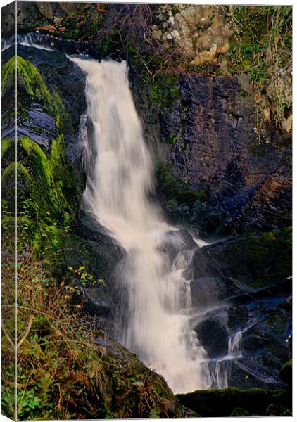 Pecca Force, Ingleton Waterfall Trail Canvas Print by Sandi-Cockayne ADPS